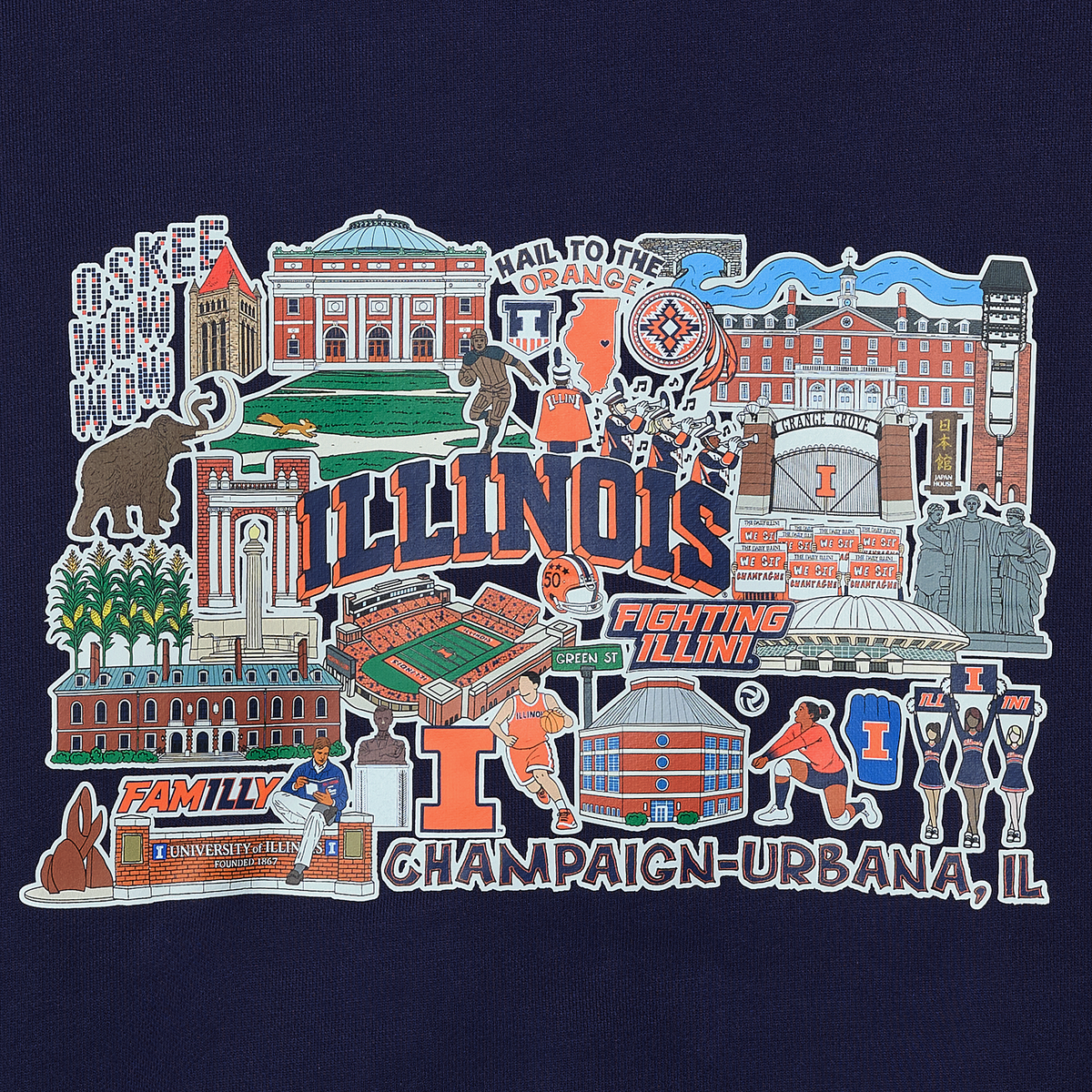 Illinois Heritage Hoodie