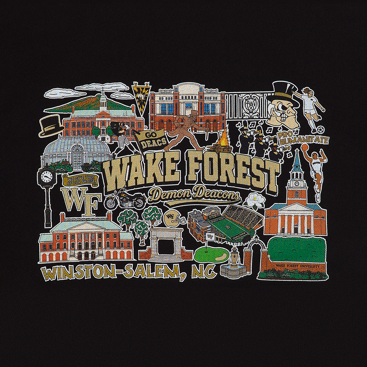 Wake Forest Heritage Hoodie